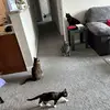 tommycolby263 - @tommethius - TikTok