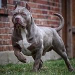 Tom conlin - @tom.conlin - Instagram