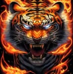 Tom Cordero - Facebook