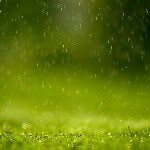 @tom_corey_ - Instagram