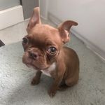 Tom Corley - @tom__corley - Instagram