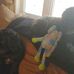Tom Cormier - Facebook