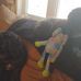 Tom Cormier - Facebook