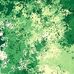 Tom Crosby - Facebook