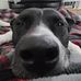 Tom Cotter - Facebook