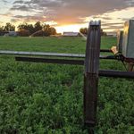 Tom Cramer - @tomcramer7 - Instagram