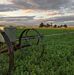 Tom Cramer - Facebook