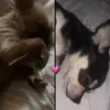 Tommy - @tommycrampton - TikTok