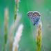 Tom Crist54 - Facebook