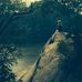 Tom Crist - Facebook