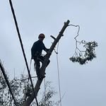 Tom Prince - @tom.crownclimbers - Instagram