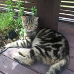 Tom Cruickshank - @tomcruicki - Instagram