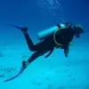 Tom Cubbedge - @tom.cubbedge - TikTok