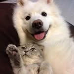 @tom.curlin - Instagram