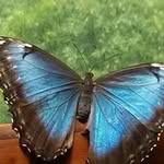 Tom Danielson - @tomjdanielson - Instagram
