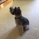 Tom Danielson - @abwehr3609 - Instagram