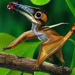 Tom danks - @leafypterodactyl - Instagram