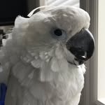 Tom Danner - @rsodanner - Instagram