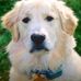 Tom Danner - Facebook