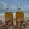 tomdarrow525 - @tomdarrow525 - TikTok