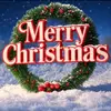 Tom David - @md.tom.david - TikTok
