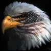 Tom Davis - @tom.davis845 - TikTok
