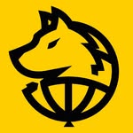 Tom Davis Dogs - @tomdavisdogs - Instagram