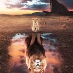 Tom Dawe - @tom.dawe.140 - Instagram