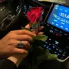 tom dawe - @tom.dawe7 - TikTok