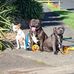 Tj Dorman - Facebook