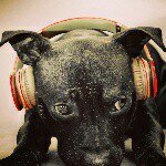 tommaso - @tommaso_defelice - Instagram