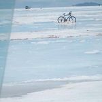 Tomas de Palma - @depalma.tomas - Instagram