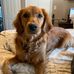 Tom Derosa - Facebook