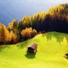 tomderricktyud - @tomderricktyud - TikTok