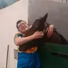 Tom Devereux - @tomdevereux - TikTok