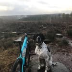 Tom Devine - @tom.devine.v8 - Instagram