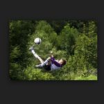 @tom_de_vries_ - Instagram