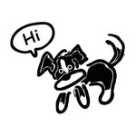 Tom Diamond - @talkingdogfactory - Instagram