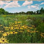 Tom Diamond - @thomaspeterdiamondfineart - Instagram