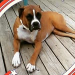 Tom - @tom_dillard_umpy - Instagram
