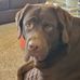 Tom Dionne - Facebook