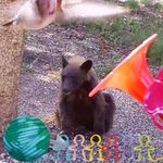 Tom Dixon - @tom.dixon.378 - Instagram