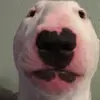tom.doe - @tom.doe - TikTok