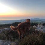 Tom_doolan - @tomdoolan27 - Instagram