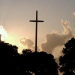 Tom Dreher - @poppiefl - Instagram