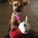 Tom Dreher - @tom_dreher - Instagram