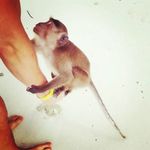 Tom Drumm - @tomdrumm1 - Instagram