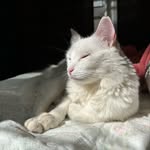 Tom04 - @_tom_duarte_ - Instagram