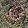 Tom Dukes - @tom.dukes - TikTok