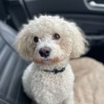 Tom Durbin - @tdurbin74 - Instagram